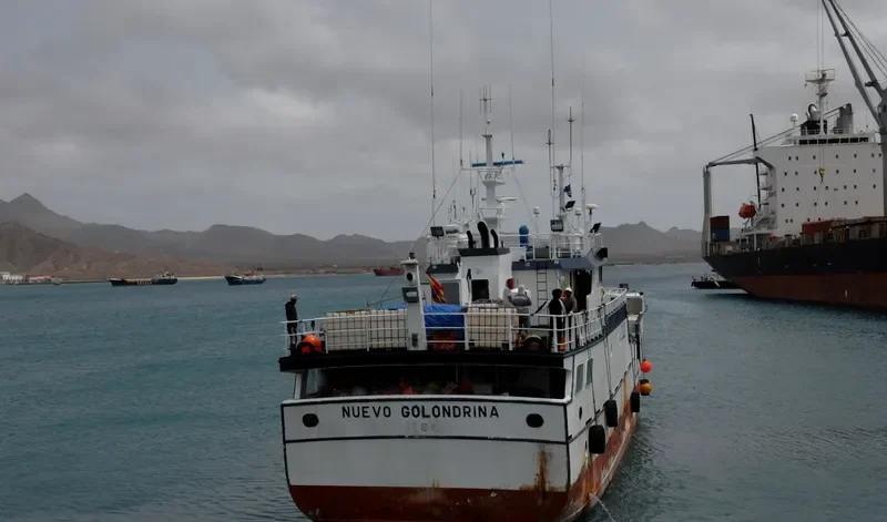 NUEVO GOLONDRINA General Cargo IMO 9249934 photo 4