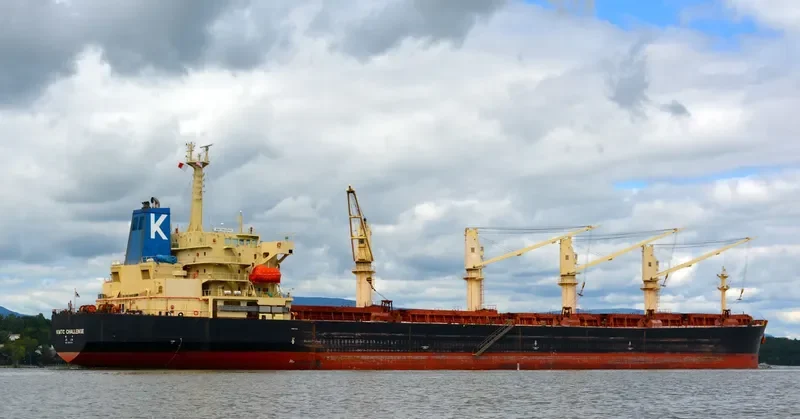 MANALAGI TISYA Bulk Carrier IMO 9250139 photo 4