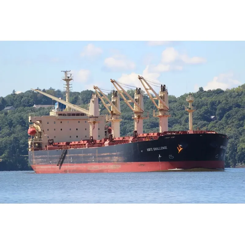 MANALAGI TISYA Bulk Carrier IMO 9250139 photo 6