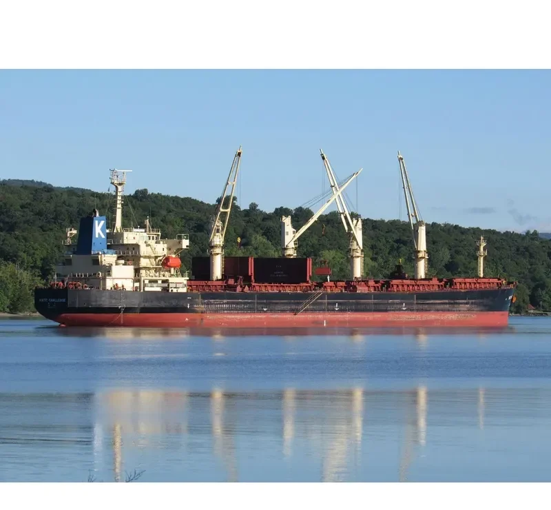 MANALAGI TISYA Bulk Carrier IMO 9250139 photo 7