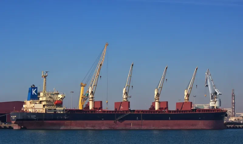 MANALAGI TISYA Bulk Carrier IMO 9250139 photo 8