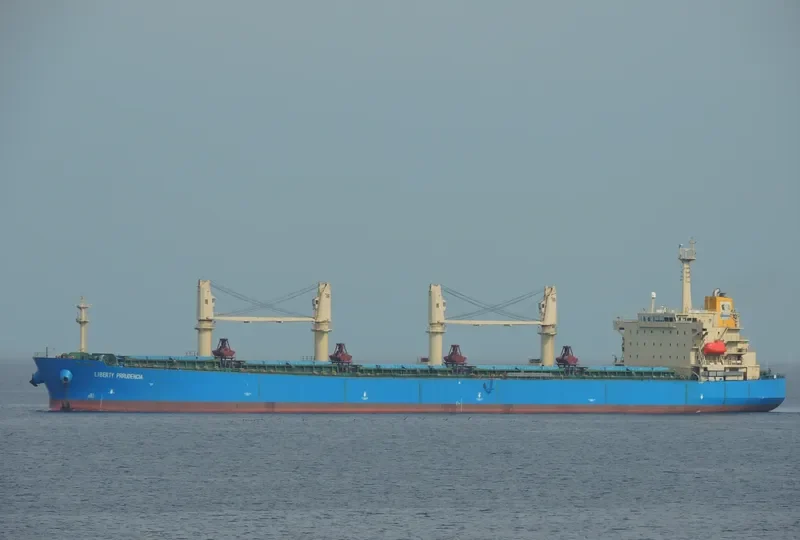 NEW ORION Bulk Carrier IMO 9250141