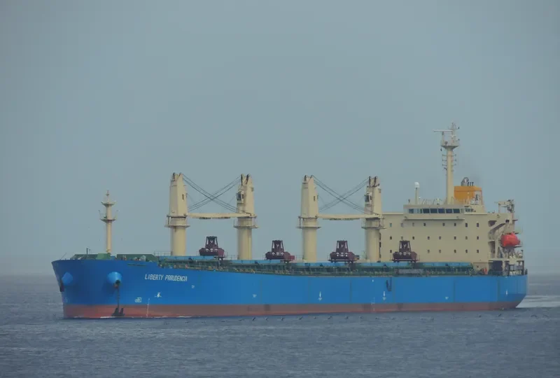 NEW ORION Bulk Carrier IMO 9250141 photo 2