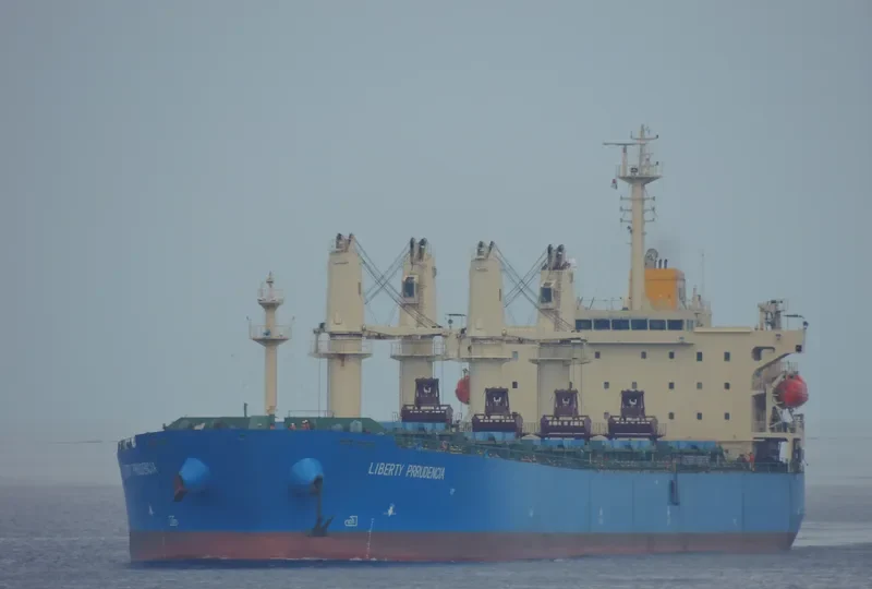 NEW ORION Bulk Carrier IMO 9250141 photo 3