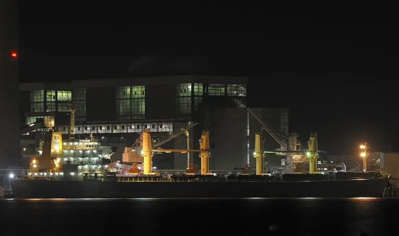 NEW ORION Bulk Carrier IMO 9250141 photo 5