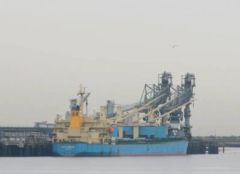 NEW ORION Bulk Carrier IMO 9250141 photo 9