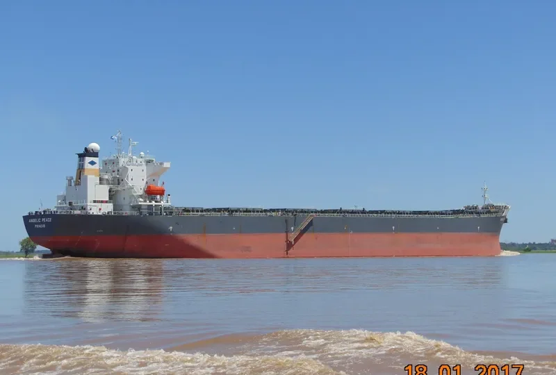 ANGELIC PEACE Bulk Carrier IMO 9250177 photo 7