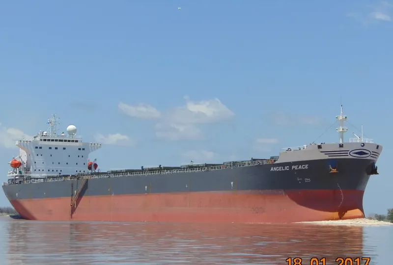 ANGELIC PEACE Bulk Carrier IMO 9250177 photo 8