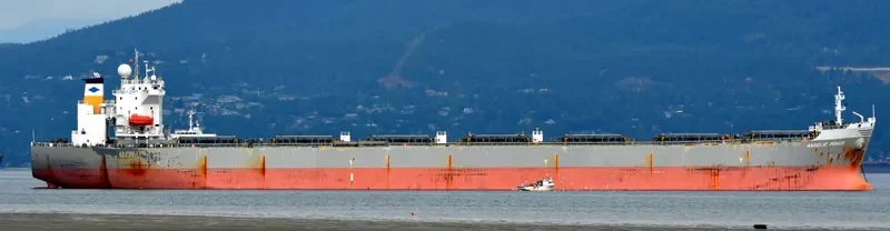 YING HAO 01 Bulk Carrier IMO 9250189 photo 2