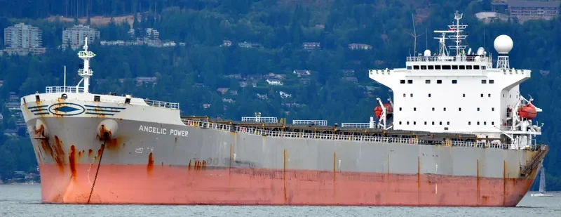 YING HAO 01 Bulk Carrier IMO 9250189 photo 3
