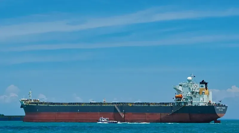 YING HAO 01 Bulk Carrier IMO 9250189 photo 5