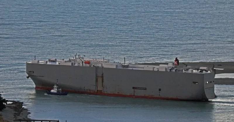 MEDITERRANEAN HIGHWAY General Cargo IMO 9250220 photo 7