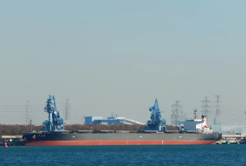 DARA Bulk Carrier IMO 9250244