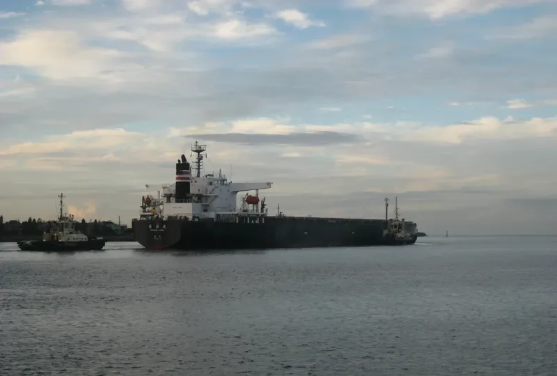DARA Bulk Carrier IMO 9250244 photo 2