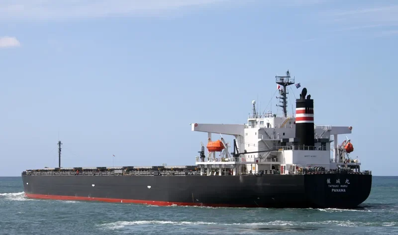 DARA Bulk Carrier IMO 9250244 photo 10