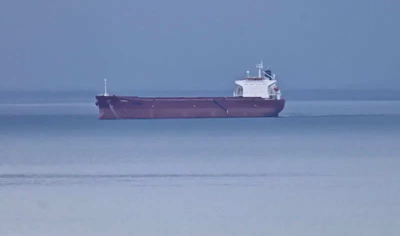 K.FAITH Bulk Carrier IMO 9250309 photo 8