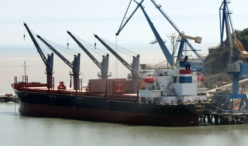 ALERCE N Bulk Carrier IMO 9250323 photo 2