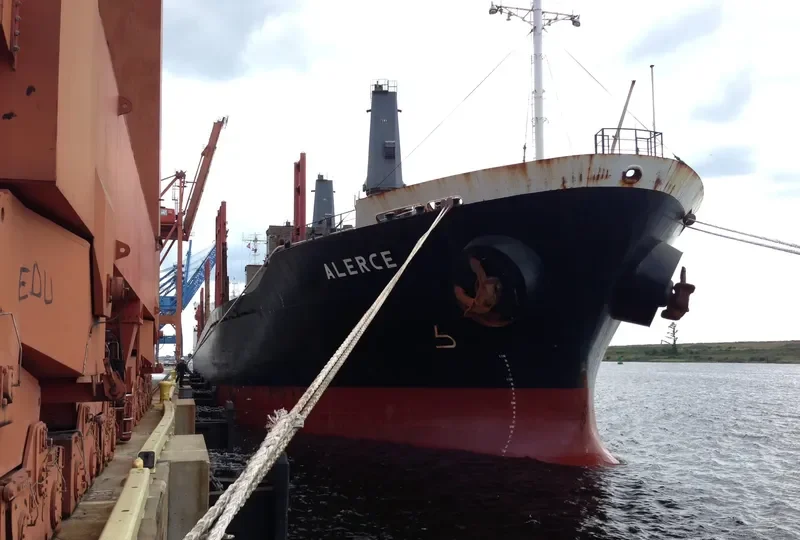 ALERCE N Bulk Carrier IMO 9250323 photo 4