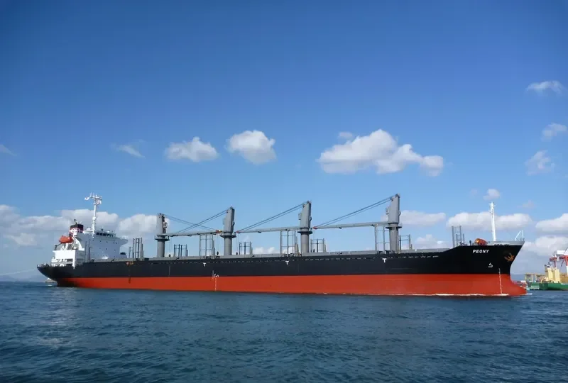 ALERCE N Bulk Carrier IMO 9250323 photo 5