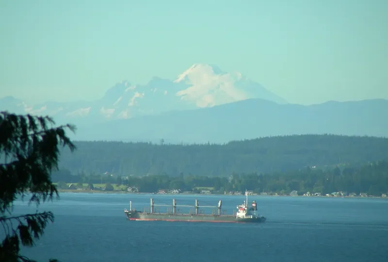 ALERCE N Bulk Carrier IMO 9250323 photo 6