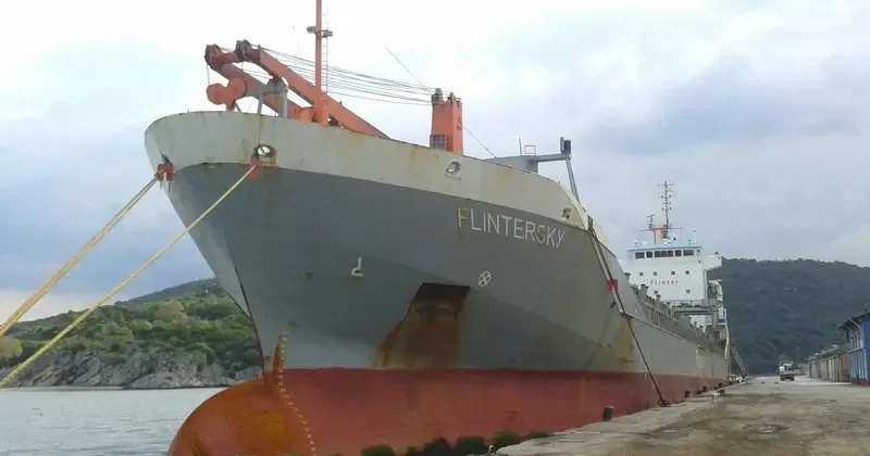 SIYANIE SEVERA General Cargo IMO 9250385 photo 10