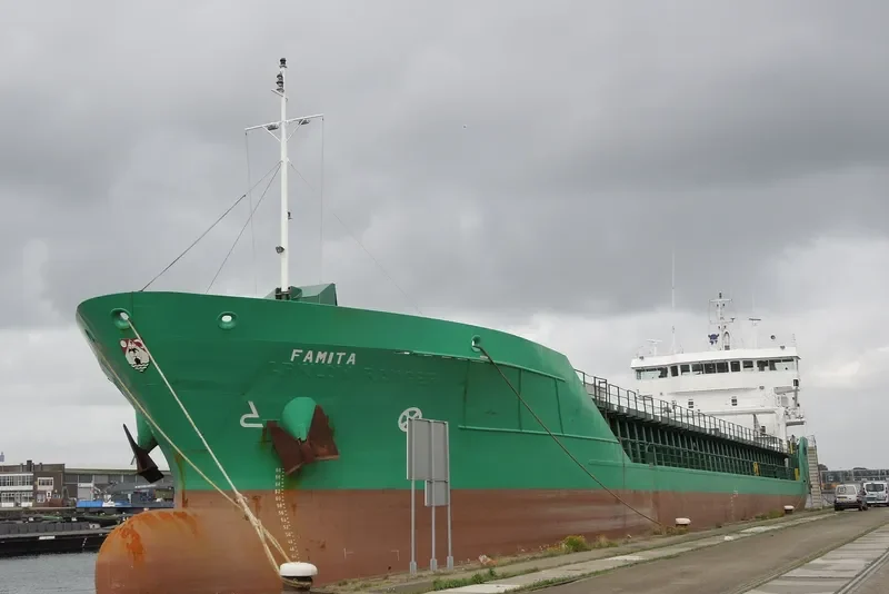 FAMITA General Cargo IMO 9250438 photo 3
