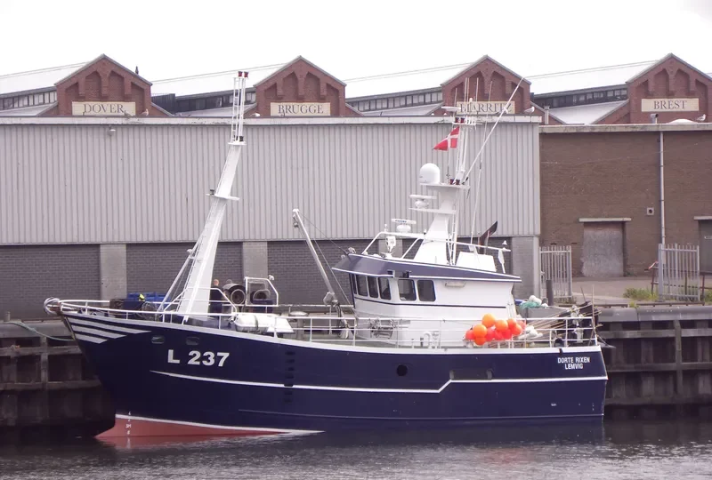 DORTE RIXEN General Cargo IMO 9250476 photo 6