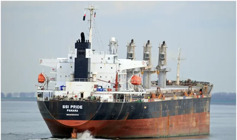 SSI PRIDE Bulk Carrier IMO 9250579 photo 3