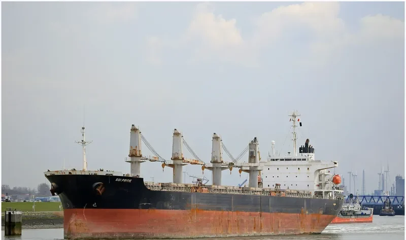 SSI PRIDE Bulk Carrier IMO 9250579 photo 6