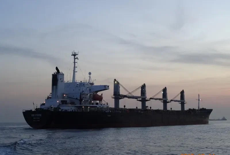 SSI PRIDE Bulk Carrier IMO 9250579 photo 8
