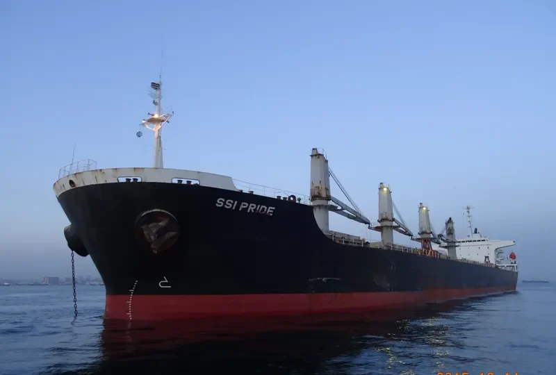 SSI PRIDE Bulk Carrier IMO 9250579 photo 9