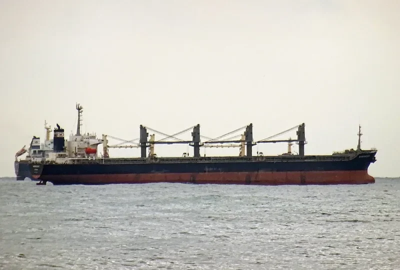 HIBISCUS Bulk Carrier IMO 9250581 photo 2