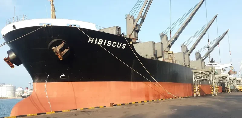 HIBISCUS Bulk Carrier IMO 9250581 photo 4