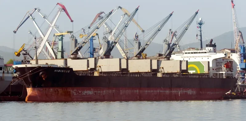 HIBISCUS Bulk Carrier IMO 9250581 photo 5