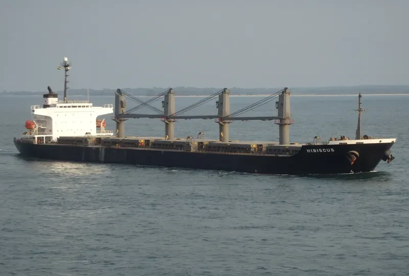 HIBISCUS Bulk Carrier IMO 9250581 photo 10