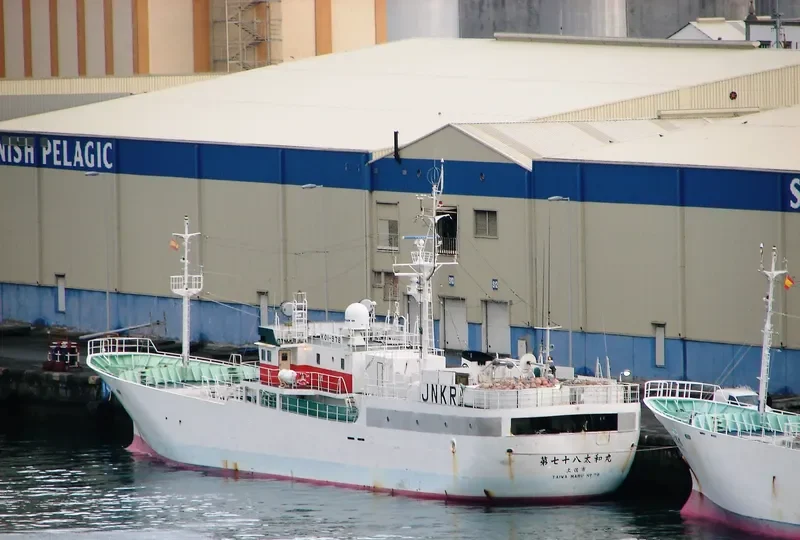 TAIWA MARU NO.78 General Cargo IMO 9250593