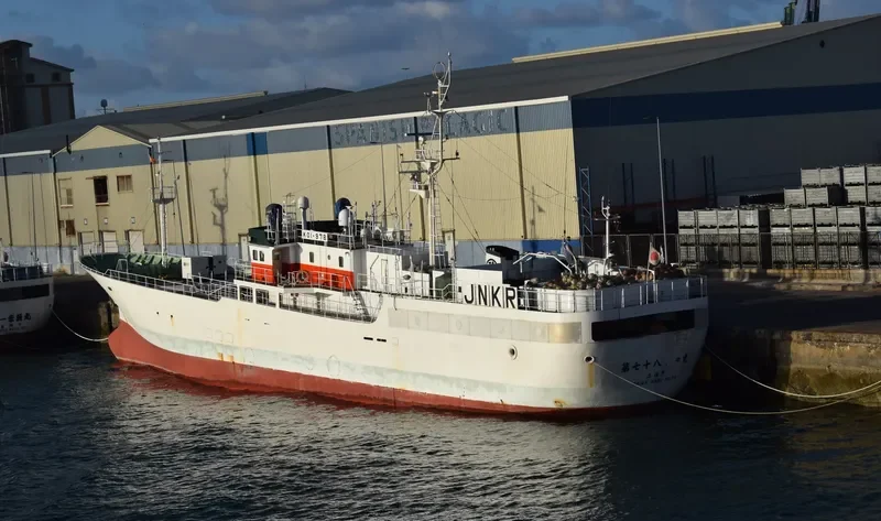 TAIWA MARU NO.78 General Cargo IMO 9250593 photo 6