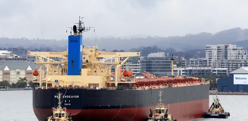 WINNING BROTHER Bulk Carrier IMO 9250610