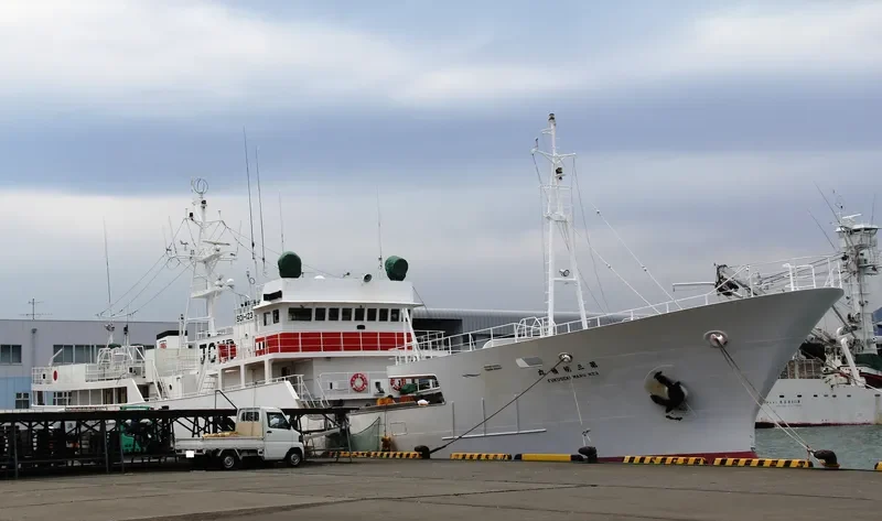 FUKUSEKI MARU NO.3 General Cargo IMO 9250646 photo 3
