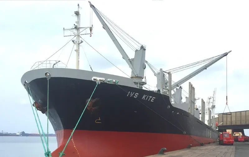 BOSPHORUS ASIA Bulk Carrier IMO 9250696