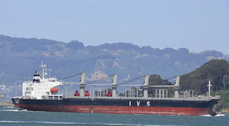 BOSPHORUS ASIA Bulk Carrier IMO 9250696 photo 9