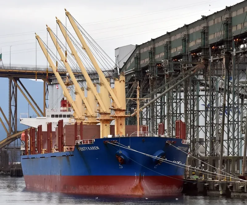FEISTY KAREN Bulk Carrier IMO 9250701 photo 6