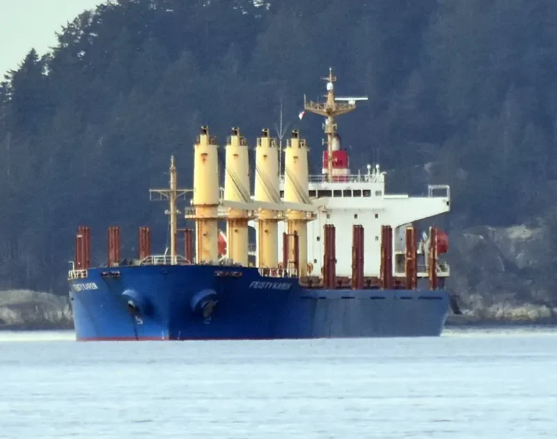 FEISTY KAREN Bulk Carrier IMO 9250701 photo 8