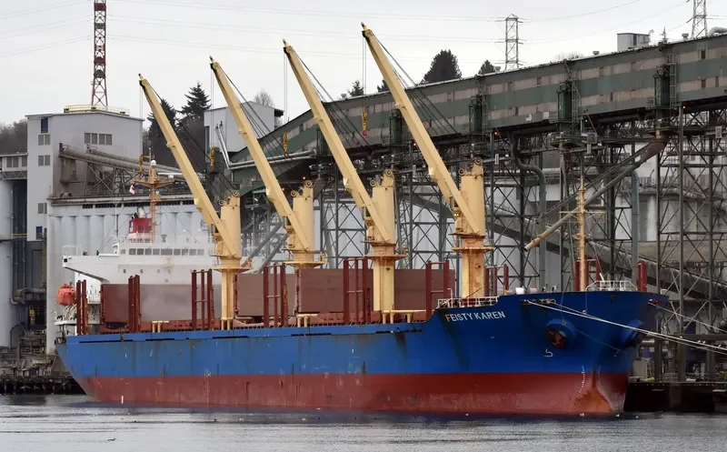 FEISTY KAREN Bulk Carrier IMO 9250701 photo 9