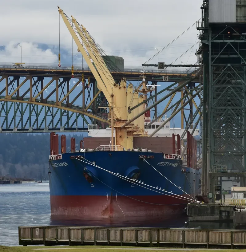 FEISTY KAREN Bulk Carrier IMO 9250701 photo 10