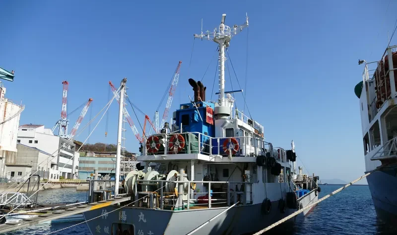 SHINYO MARU Tanker IMO 9250919 photo 4