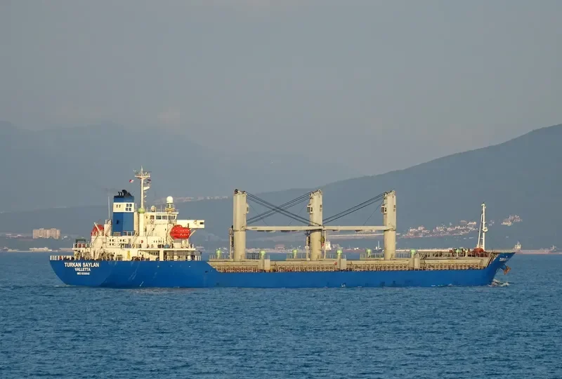 TURKAN SAYLAN Bulk Carrier IMO 9250945