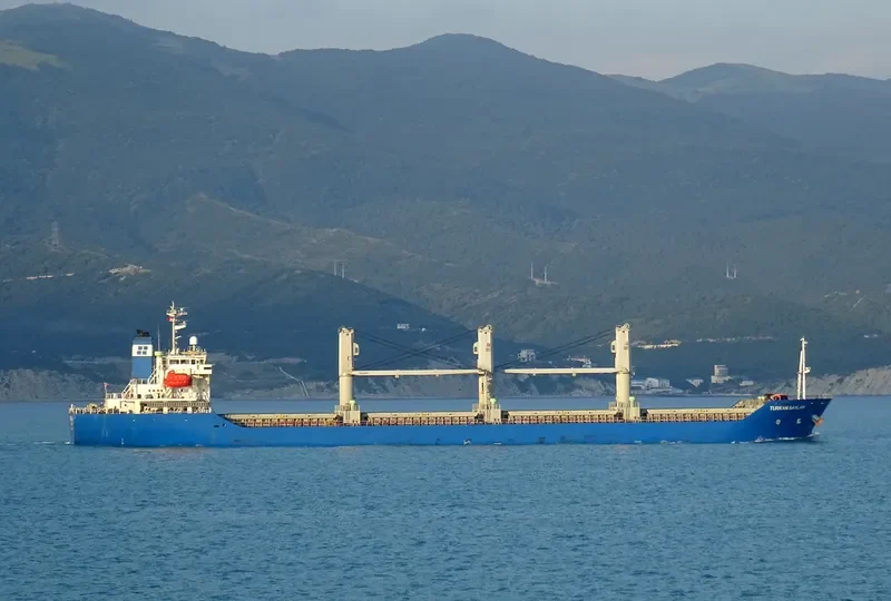 TURKAN SAYLAN Bulk Carrier IMO 9250945 photo 2