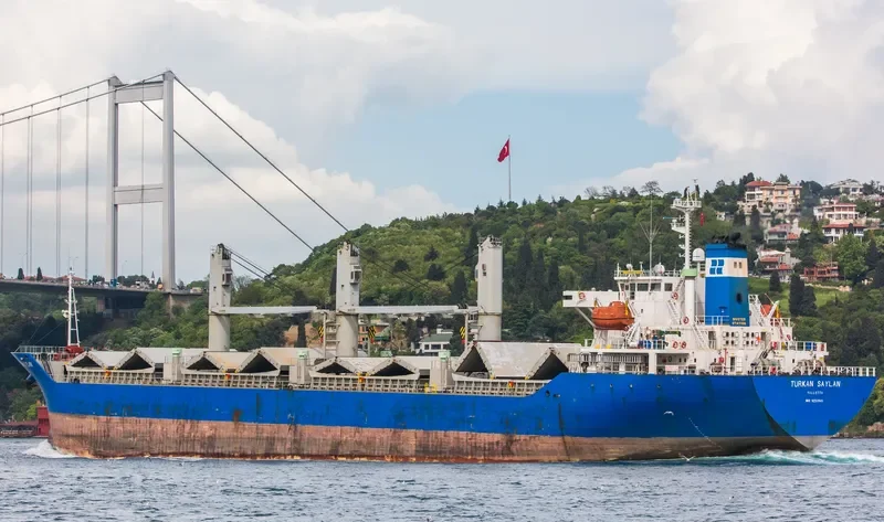 TURKAN SAYLAN Bulk Carrier IMO 9250945 photo 9