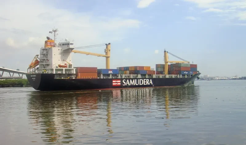 SINAR BINTAN Container Ship IMO 9250957 photo 2